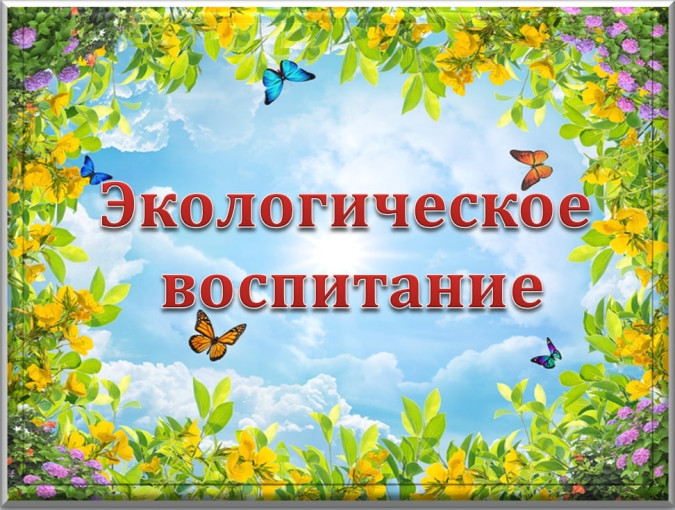 Экологическое воспитание Экологическое воспитание.
